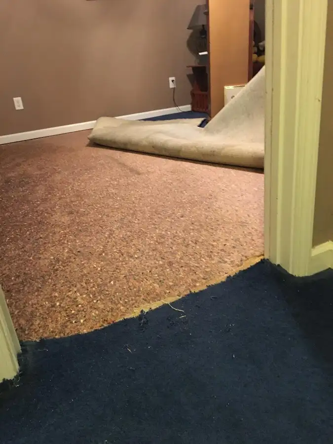 Carpet pad removal revealing water damage during Drying & Dehumidification in St. Andrews
