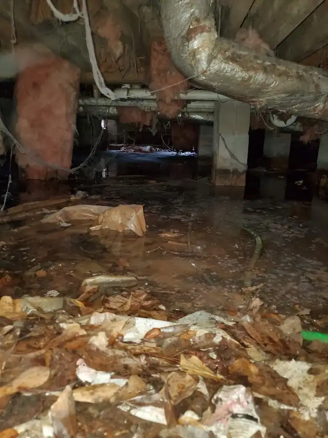 Crawl space flood assessment for Commercial Water Damage Restoration in St. Andrews